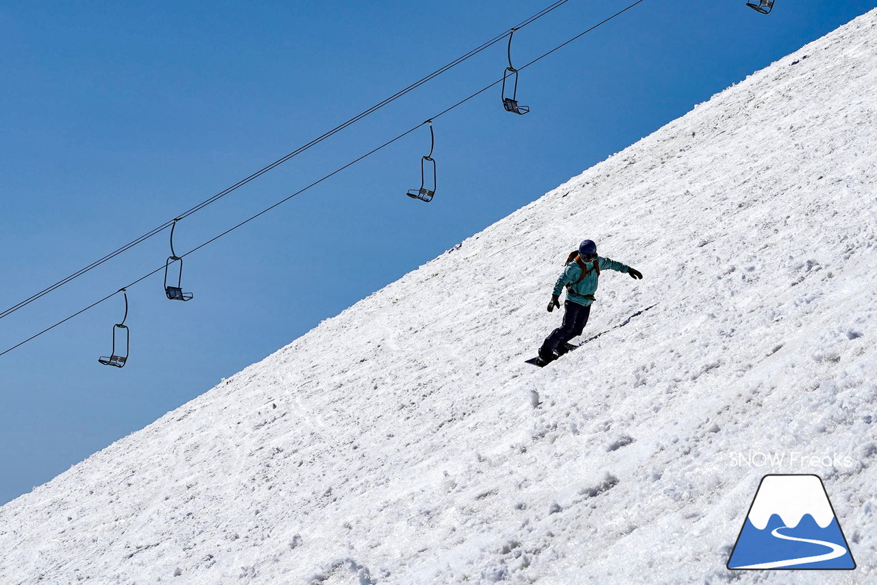 ニセコグラン・ヒラフ DYNASTAR SKI TEST RIDE DAYS Photo Session!!最高の天気に恵まれたニセコに、最高の仲間たちが集まりました☆